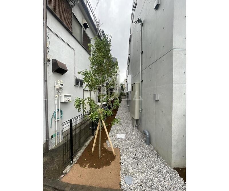 20/30 その他画像