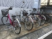 12/15 その他画像