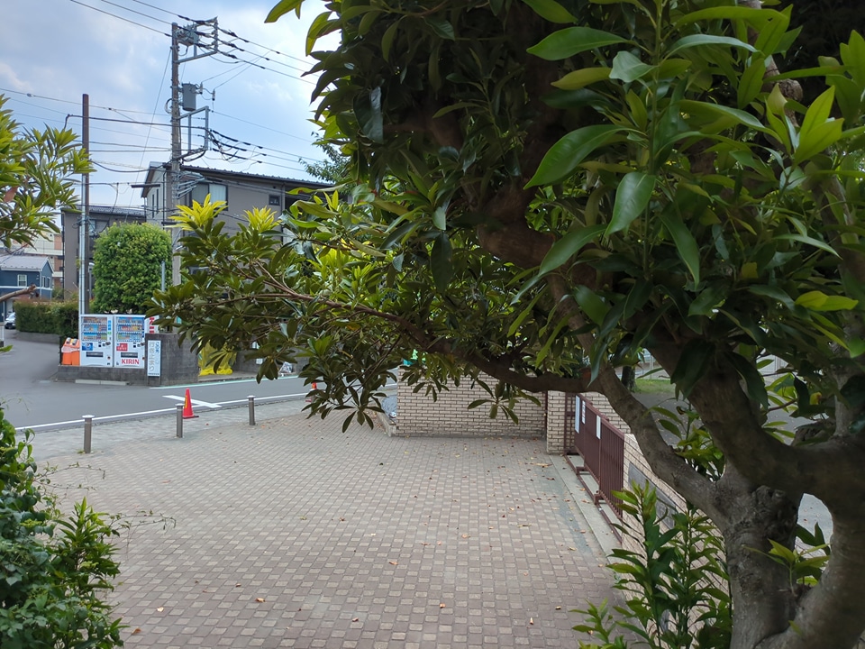 23/30 その他画像