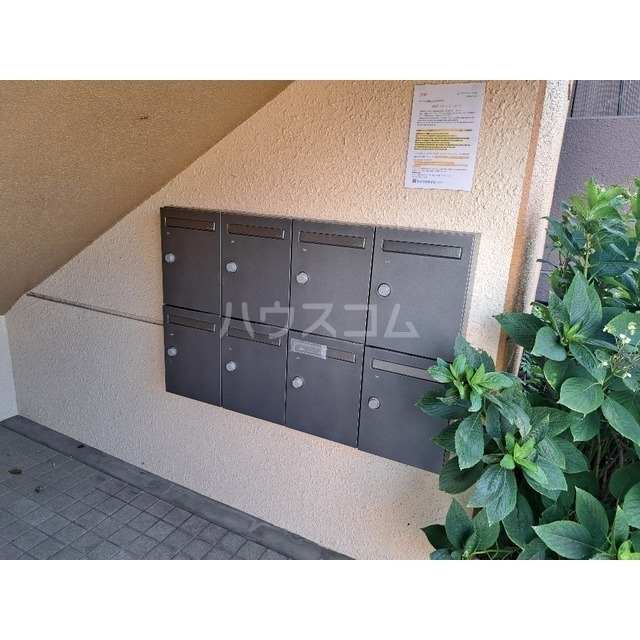 20/30 その他画像