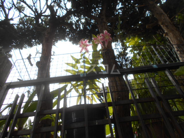 20/28 その他画像