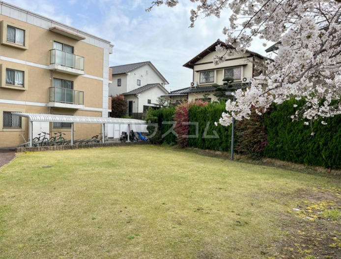 15/18 その他画像