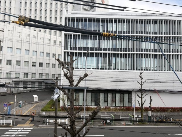 18/24 その他画像