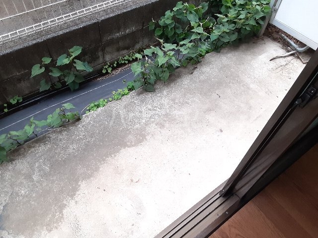 15/28 バルコニー