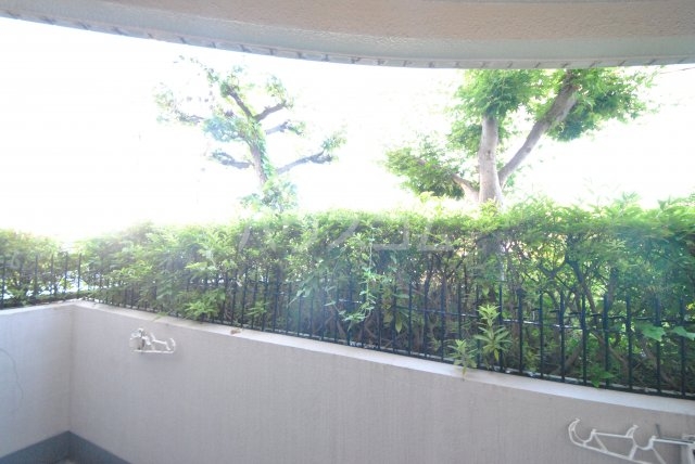 25/29 その他画像