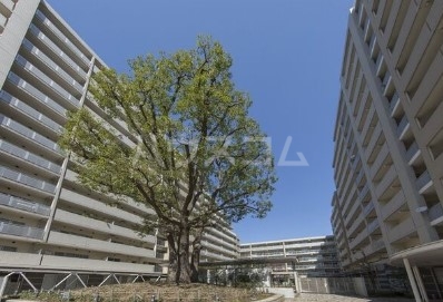 5/14 その他画像