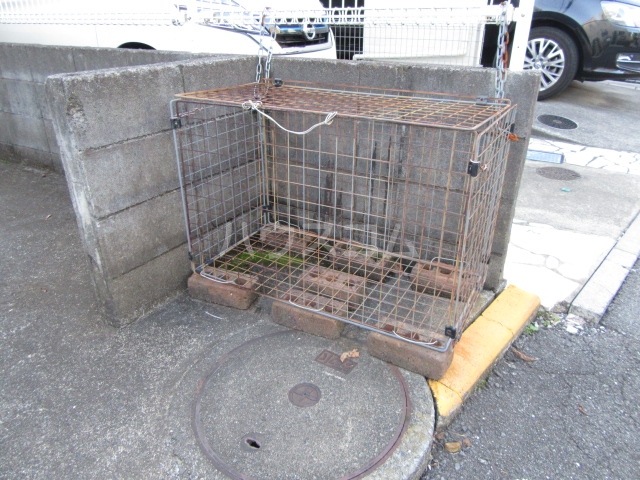 19/29 その他画像