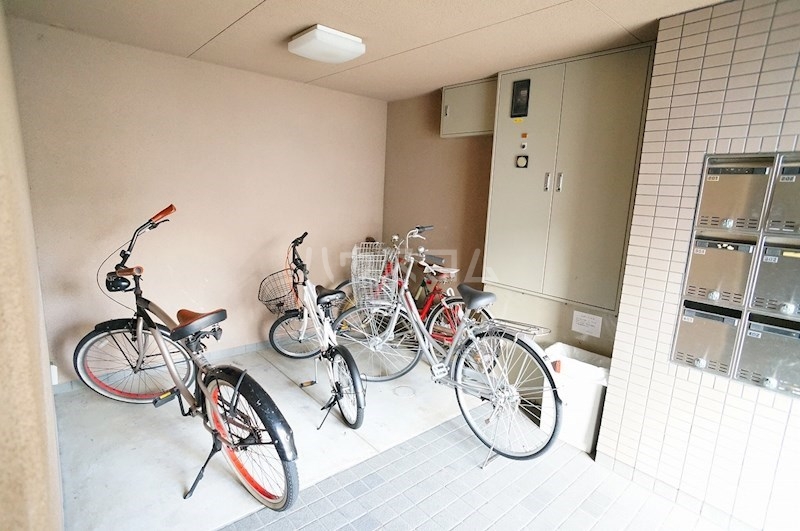 20/20 その他画像