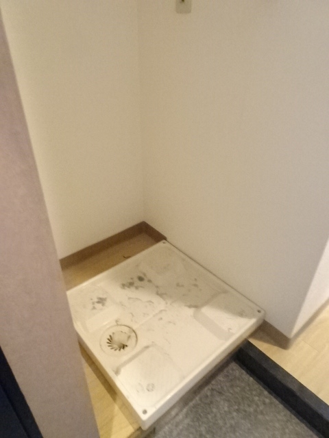 11/26 その他画像