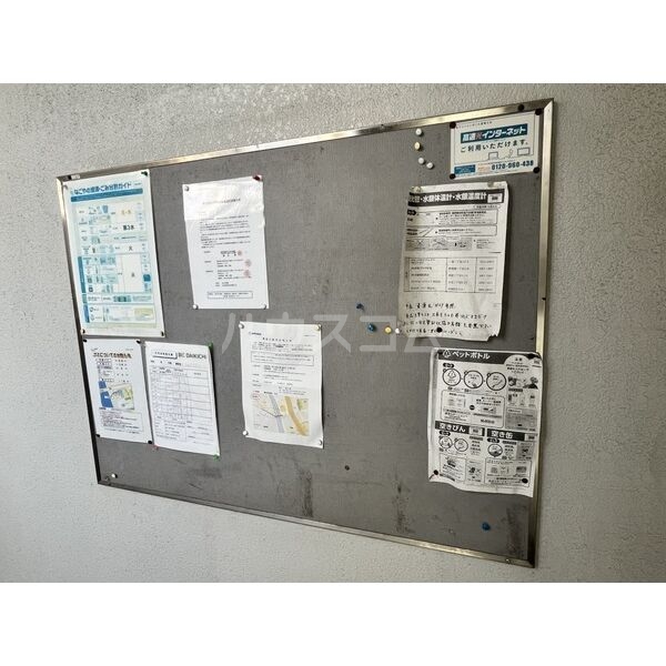 19/24 その他画像