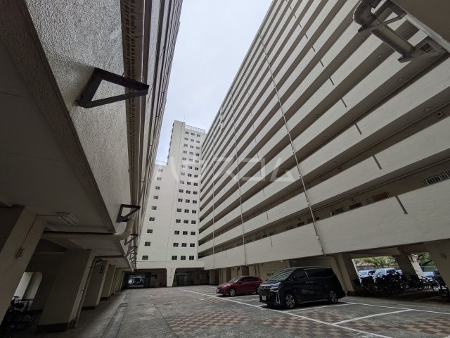 11/21 その他画像