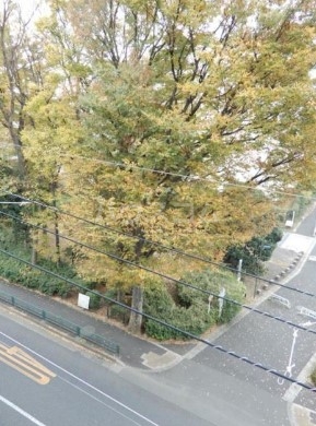 15/30 その他画像