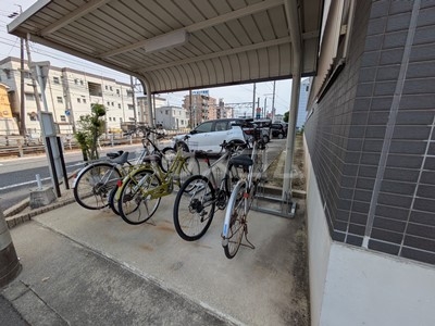 20/30 その他画像