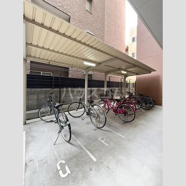 8/19 その他画像