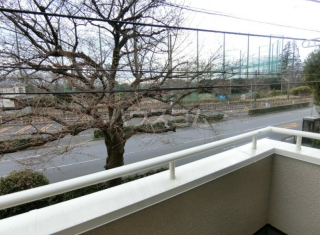 16/19 その他画像