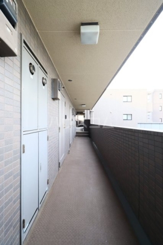 5/14 その他画像