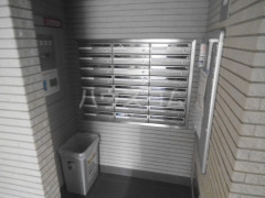 15/23 その他画像