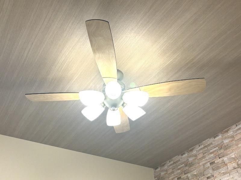 16/24 その他画像