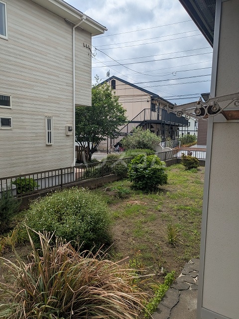 25/30 その他画像