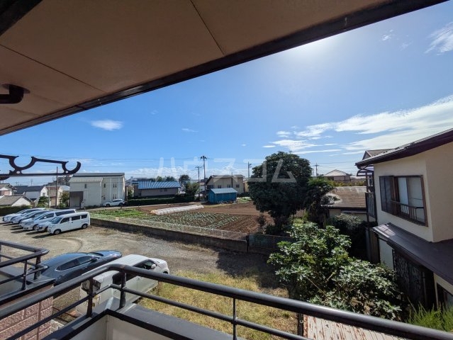 20/30 その他画像