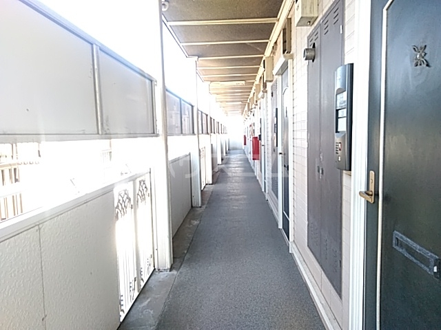 4/17 その他画像