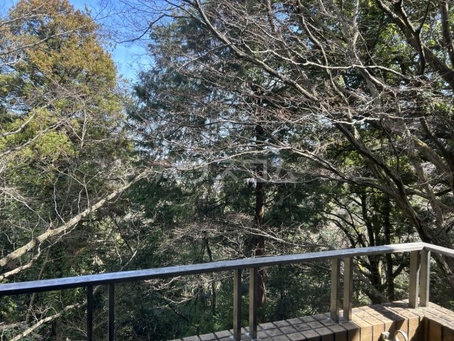 8/24 その他画像