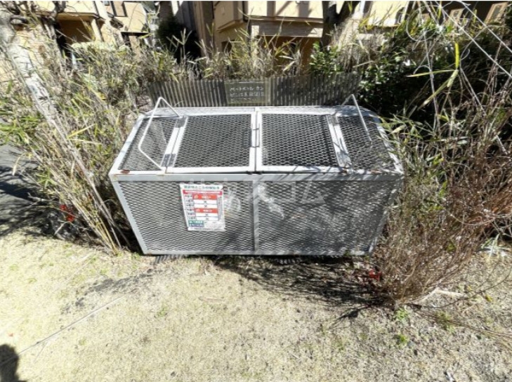 6/15 その他画像