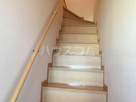 20/30 その他画像