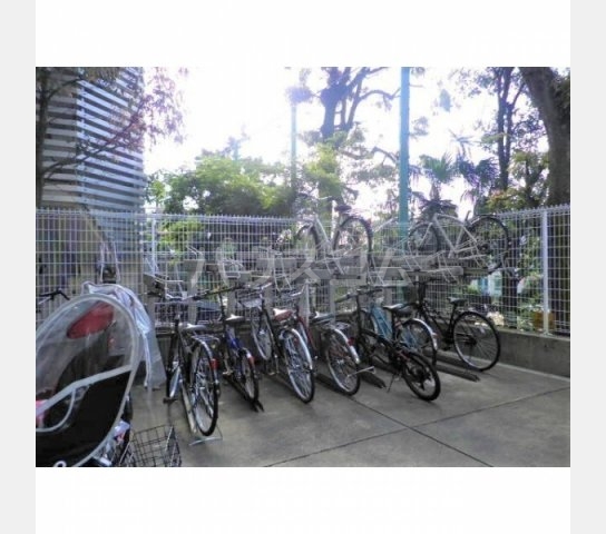 17/29 その他画像