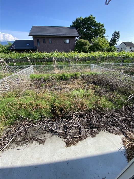 17/23 その他画像