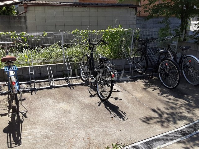 21/25 その他画像