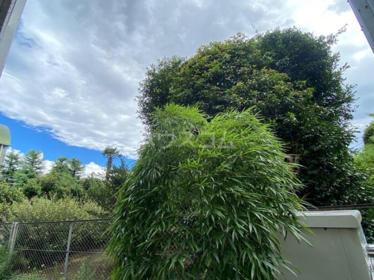 13/18 その他画像