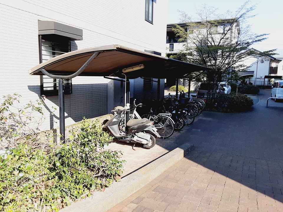 20/30 その他画像