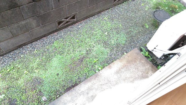 21/29 その他画像