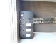 11/17 その他画像