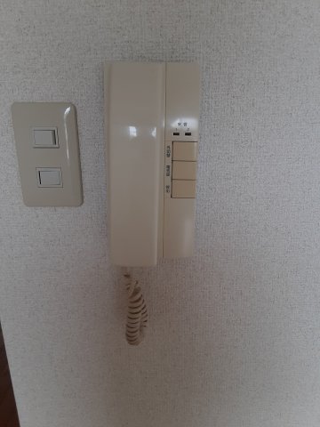 17/25 その他画像