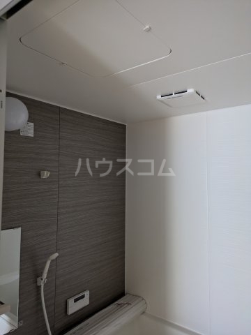 25/29 その他画像