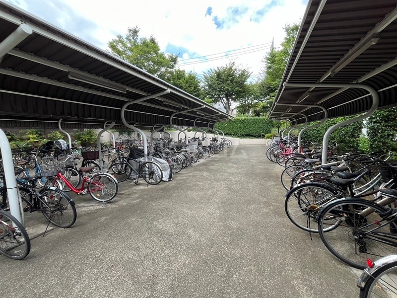 15/19 その他画像