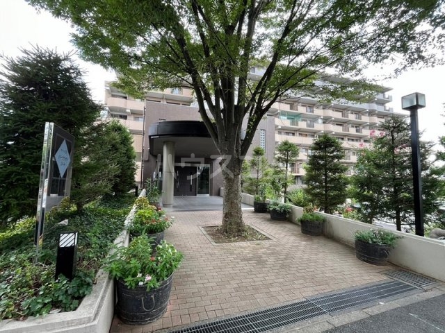 17/19 その他画像