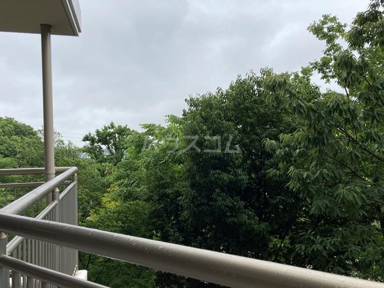 15/26 その他画像