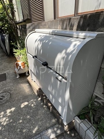 20/30 その他画像