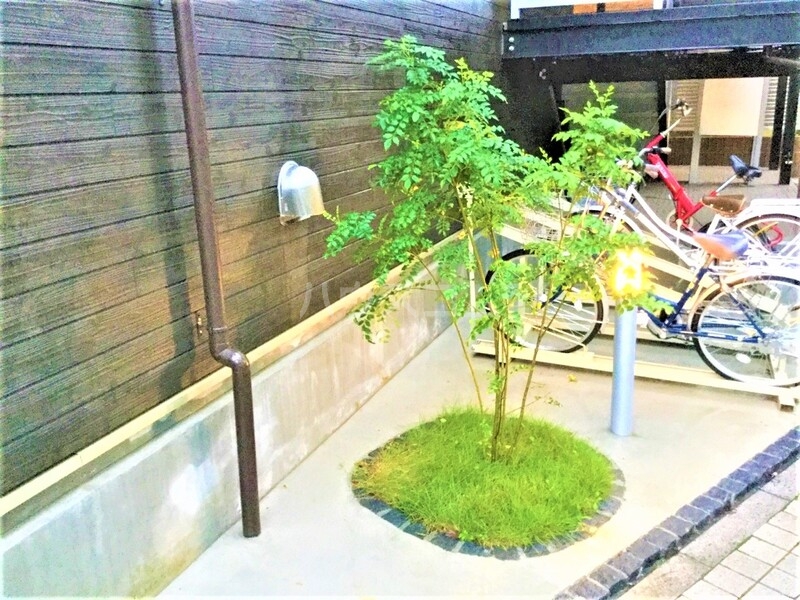 20/28 その他画像