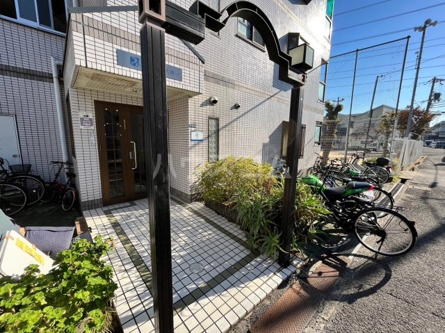 20/30 その他画像