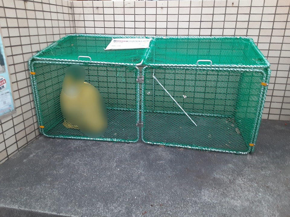 14/27 その他画像