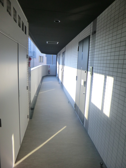 6/11 その他画像