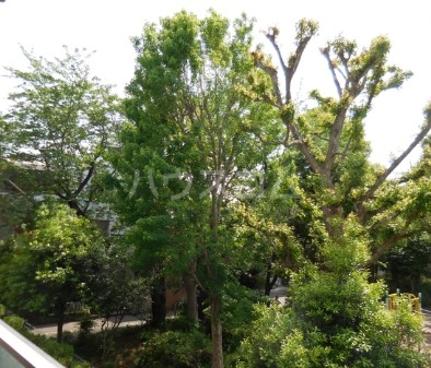 17/30 その他画像