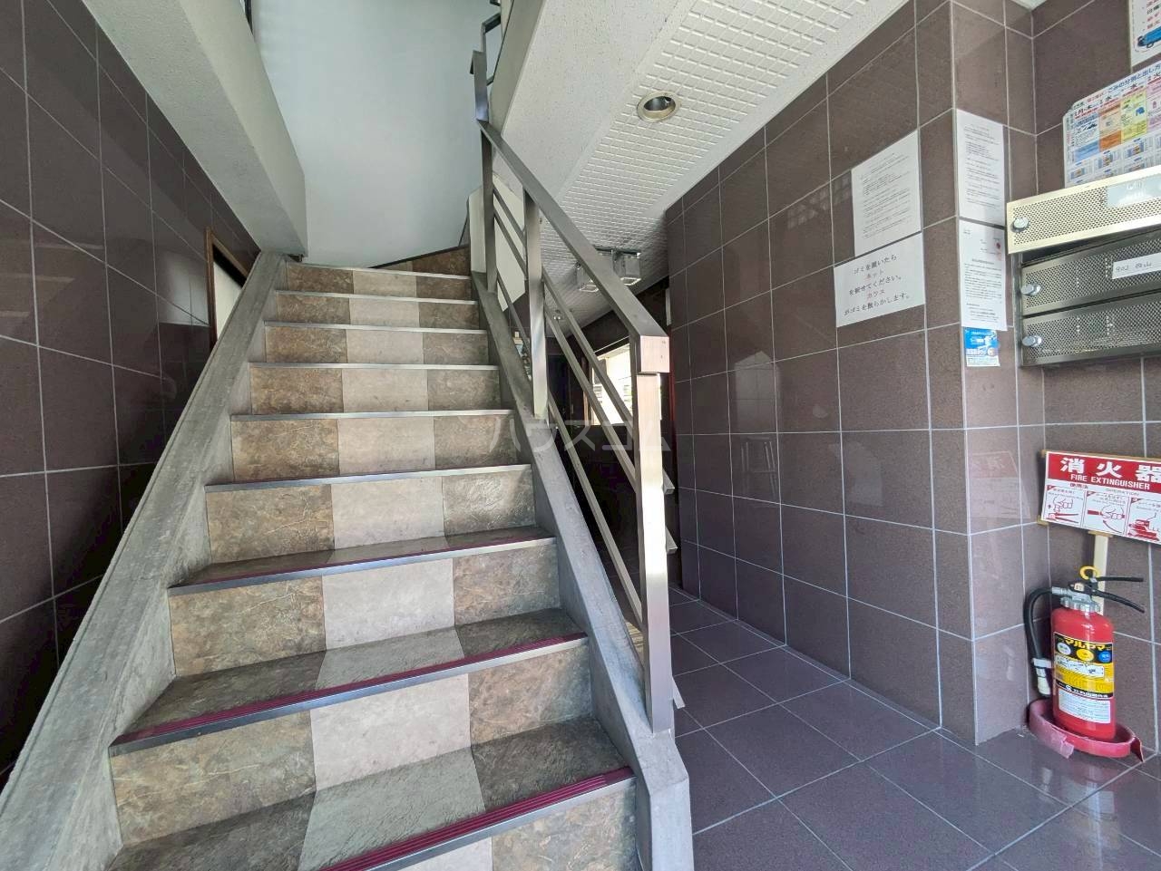 3/17 その他画像