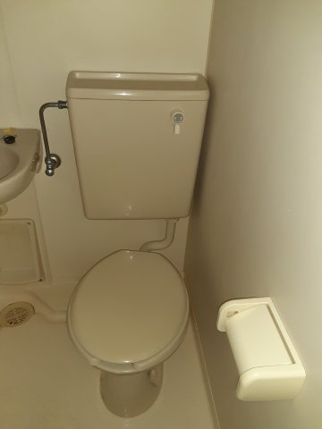 12/29 トイレ
