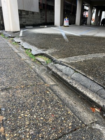 15/17 その他画像