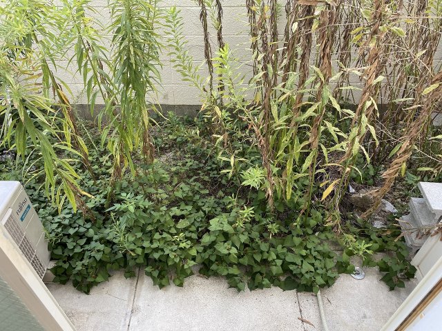 13/30 バルコニー